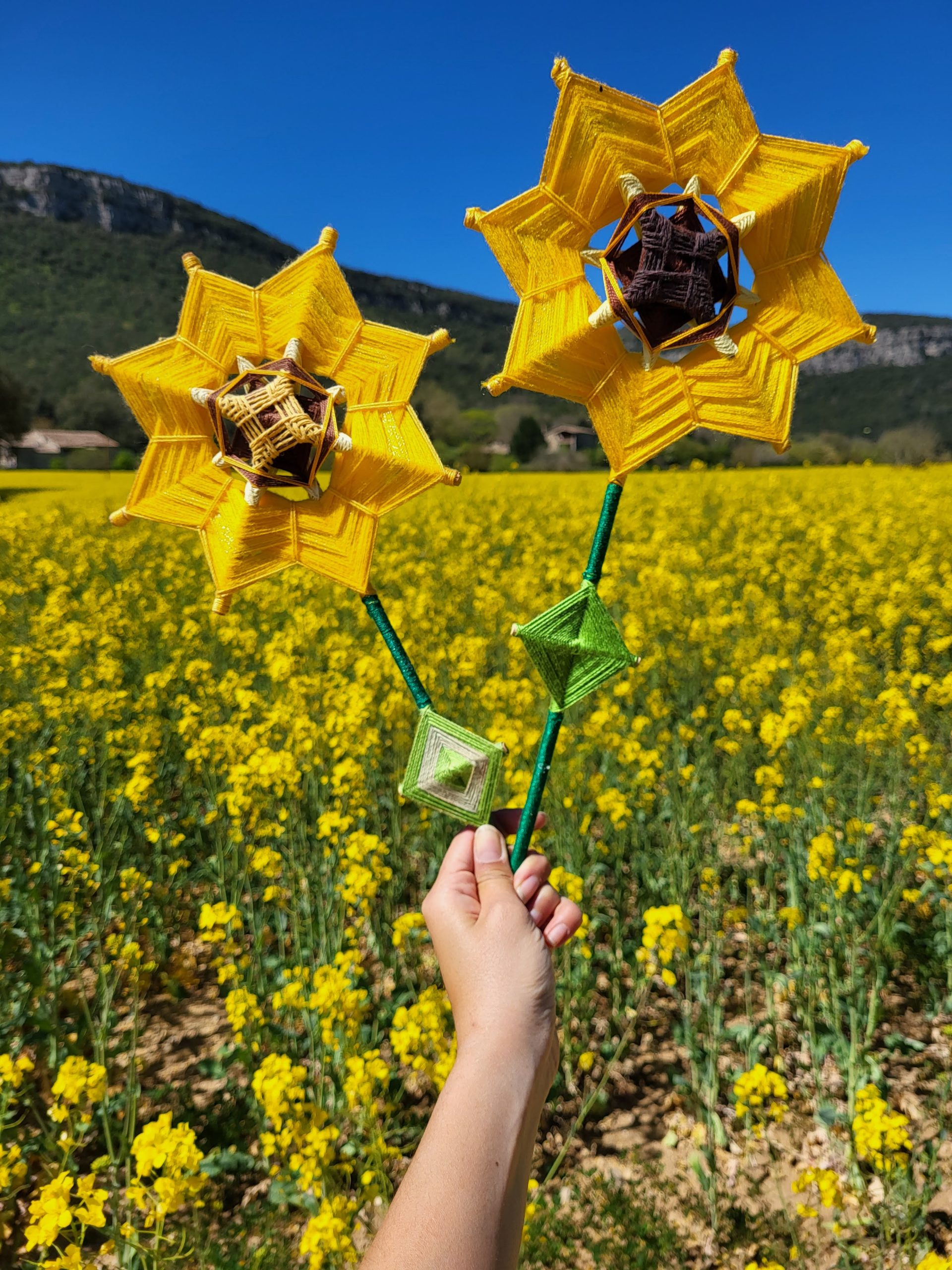 Tejer para brotar – Mandala Girasol